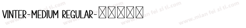 Vinter-Medium Regular字体转换